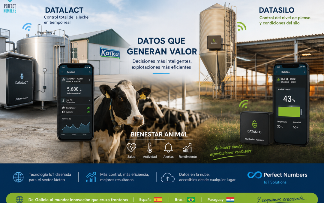 DataSilo llega a Kaiku