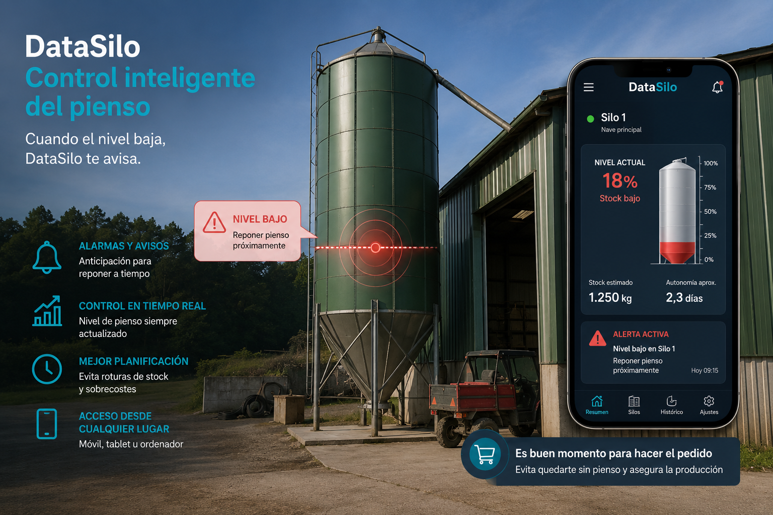 02-DataSilo. Carreira de Afonso SL