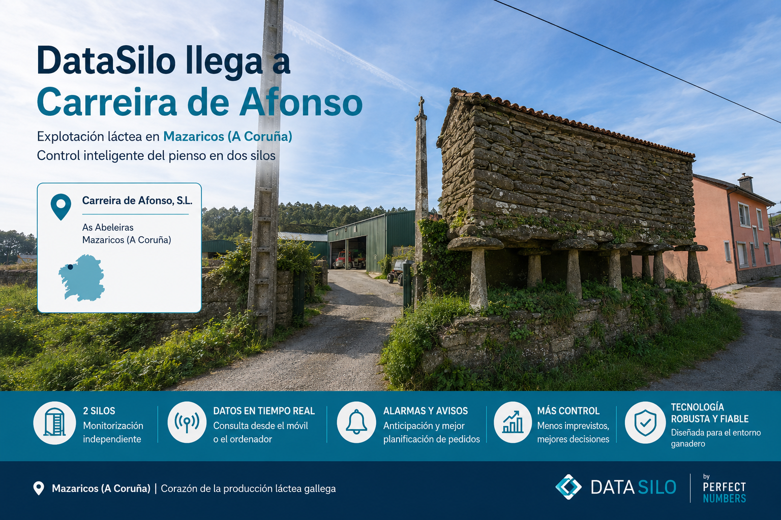 DataSilo. De Carreira Afonso SL